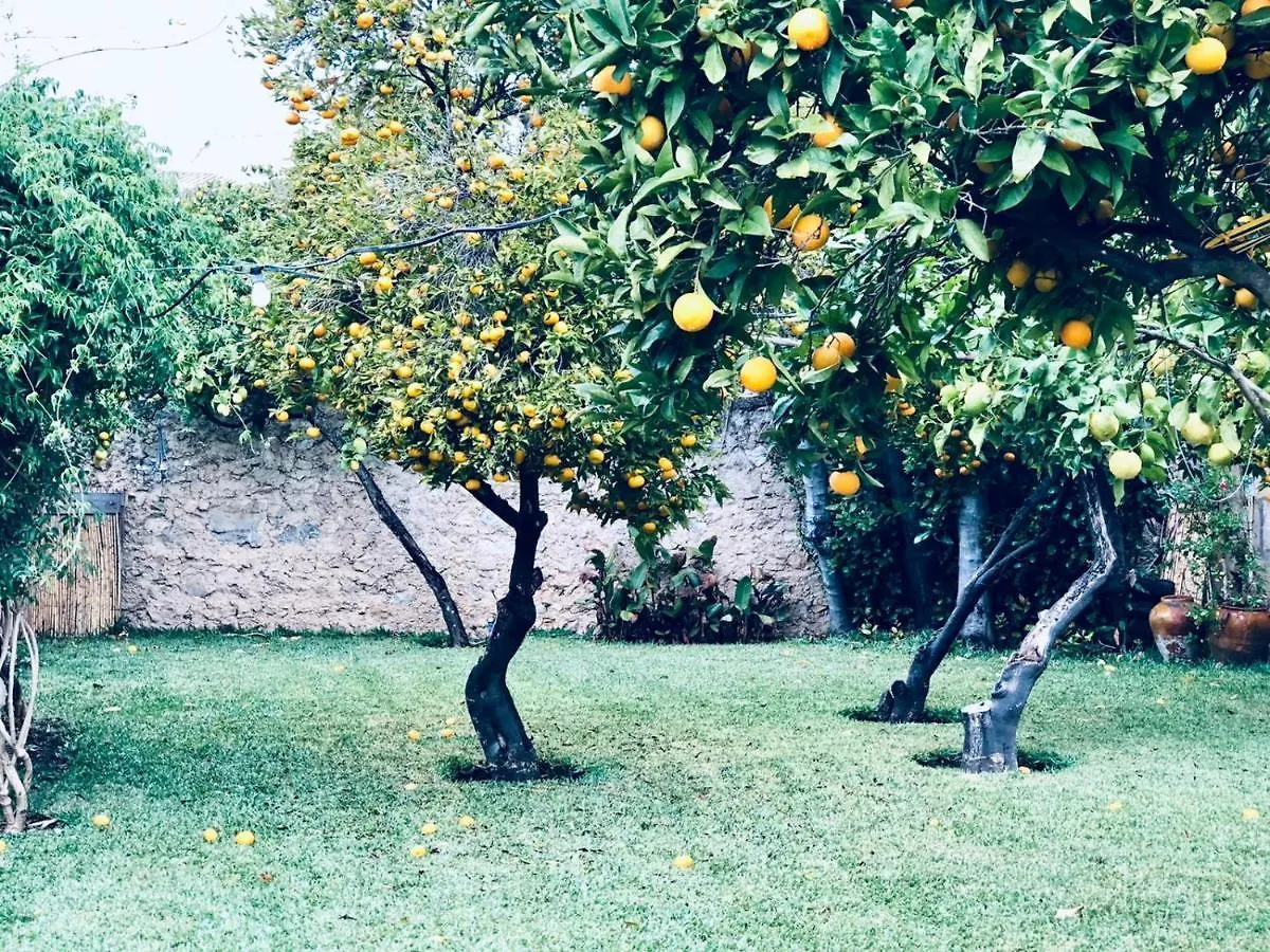 Villa Ithaka Petit アルタ スペイン